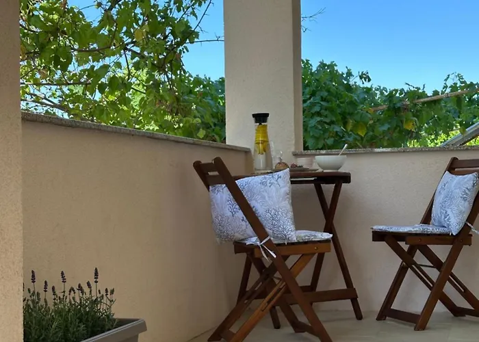 Daire Luka & Iva Šibenik